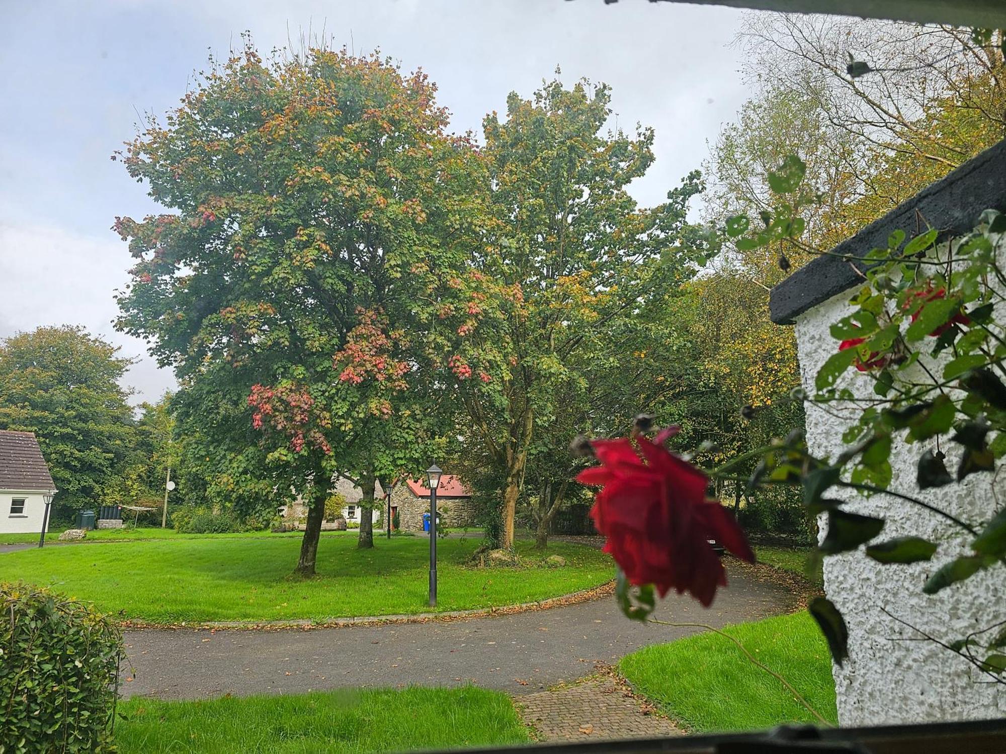 Longford Holiday Red Rose Self Catering Cottage Zewnętrze zdjęcie